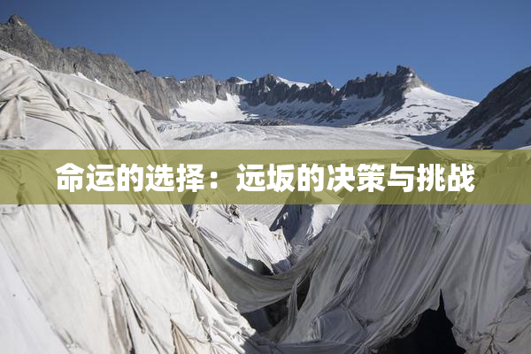命运的选择：远坂的决策与挑战