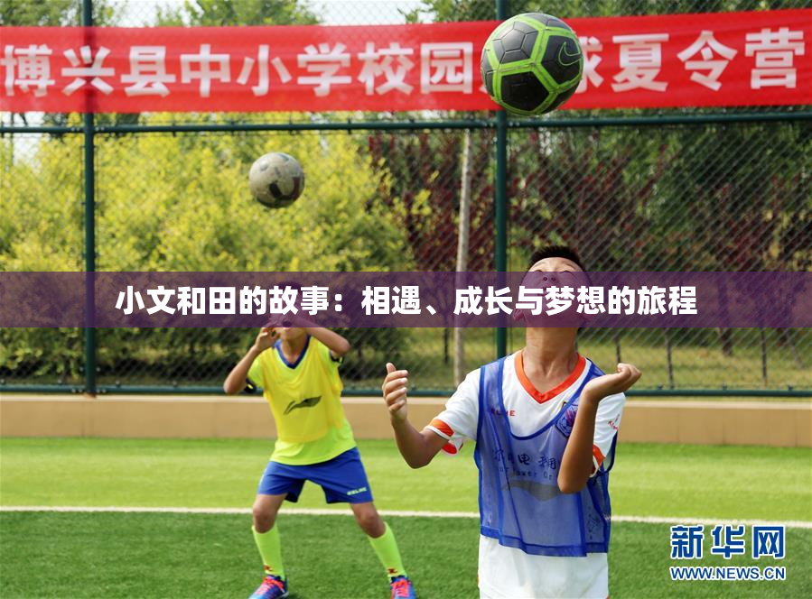小文和田的故事：相遇、成长与梦想的旅程