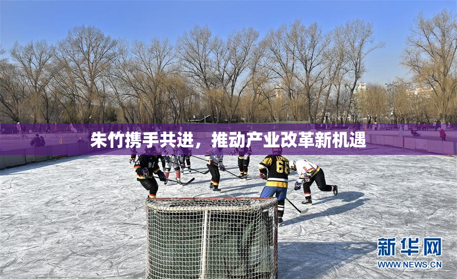 朱竹携手共进，推动产业改革新机遇