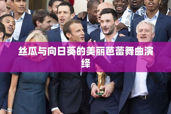 丝瓜与向日葵的美丽芭蕾舞曲演绎