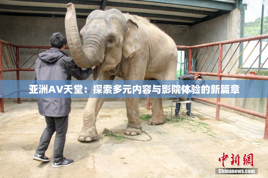 亚洲AV天堂：探索多元内容与影院体验的新篇章