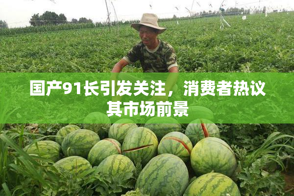 国产91长引发关注，消费者热议其市场前景