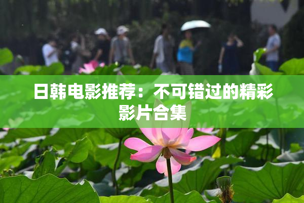 日韩电影推荐：不可错过的精彩影片合集