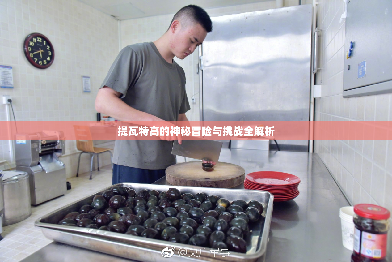 提瓦特高的神秘冒险与挑战全解析