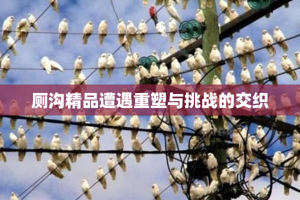 厕沟精品遭遇重塑与挑战的交织