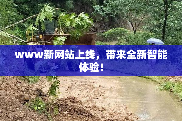 www新网站上线，带来全新智能体验！