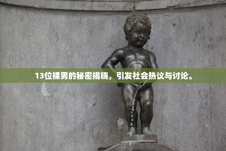13位裸男的秘密揭晓，引发社会热议与讨论。