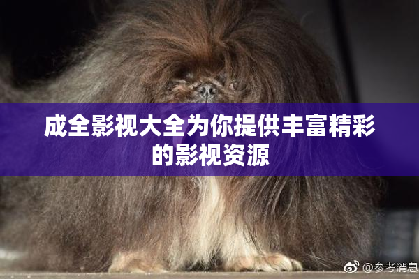 成全影视大全为你提供丰富精彩的影视资源