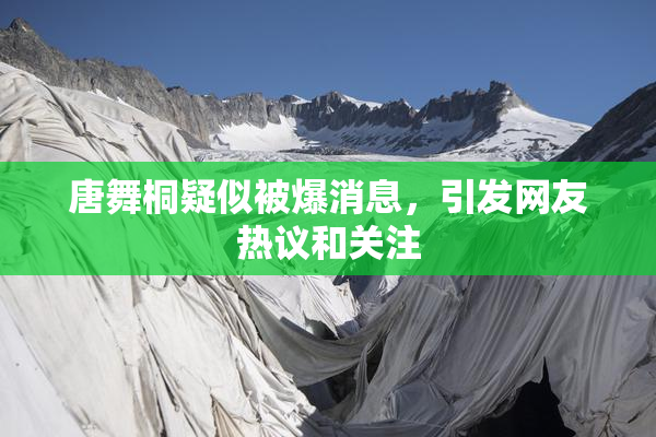 唐舞桐疑似被爆消息，引发网友热议和关注