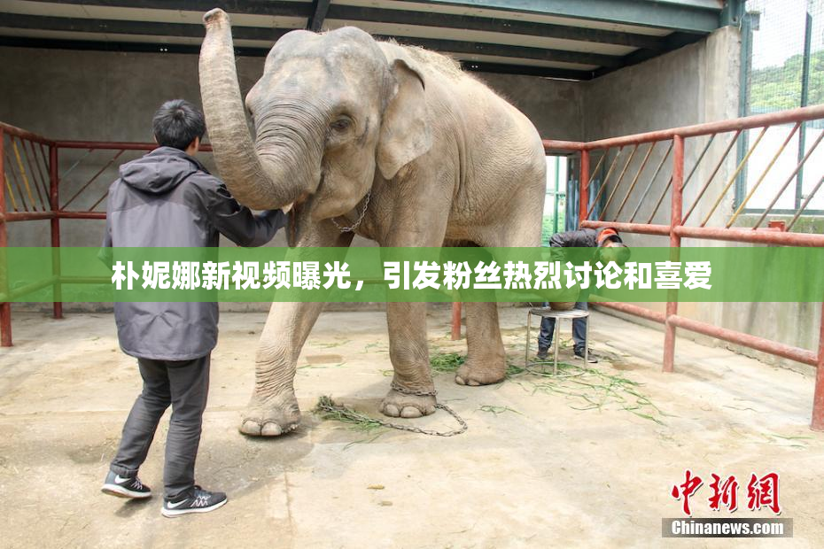 朴妮娜新视频曝光，引发粉丝热烈讨论和喜爱