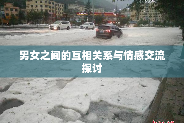 男女之间的互相关系与情感交流探讨