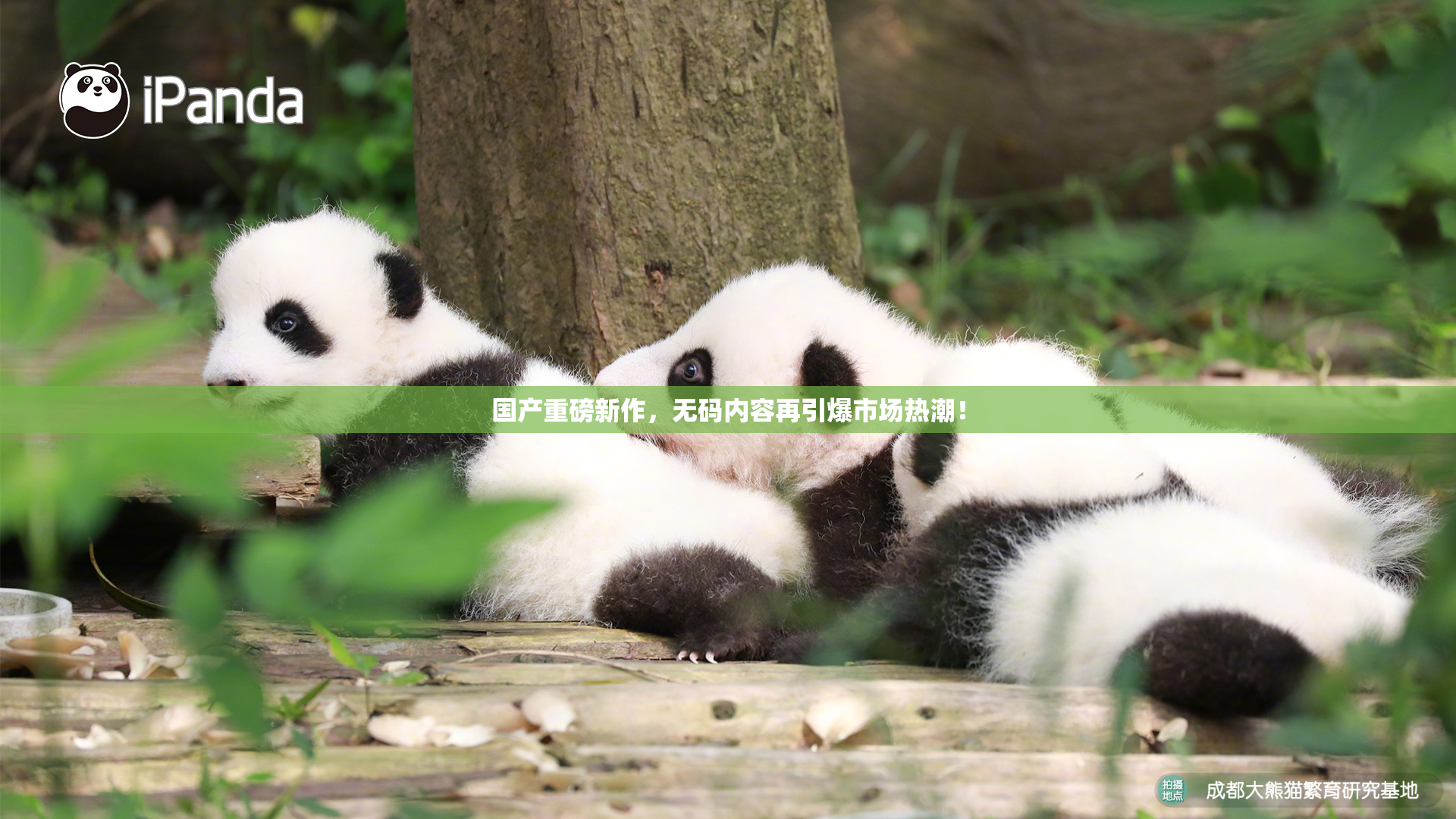 国产重磅新作，无码内容再引爆市场热潮！