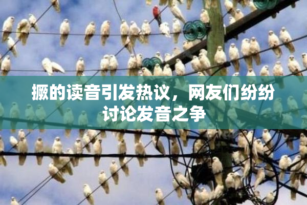 撅的读音引发热议，网友们纷纷讨论发音之争