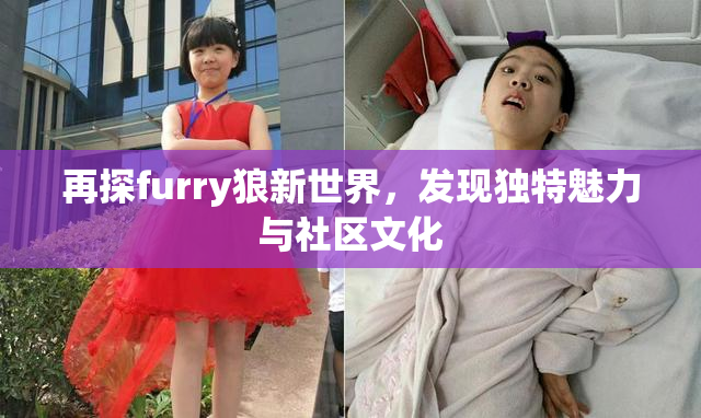 再探furry狼新世界，发现独特魅力与社区文化