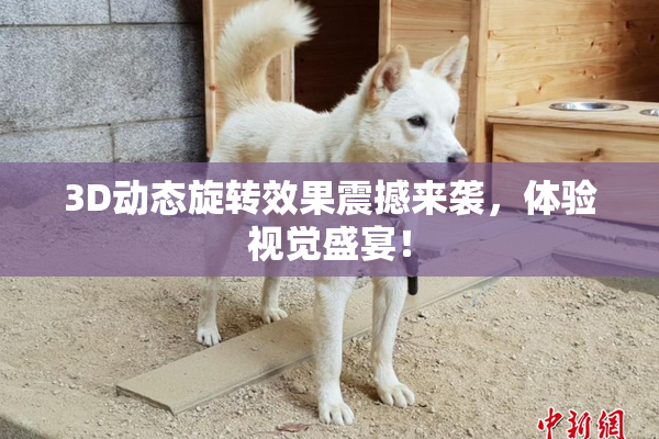 3D动态旋转效果震撼来袭，体验视觉盛宴！