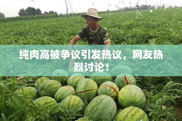 纯肉高被争议引发热议，网友热烈讨论！