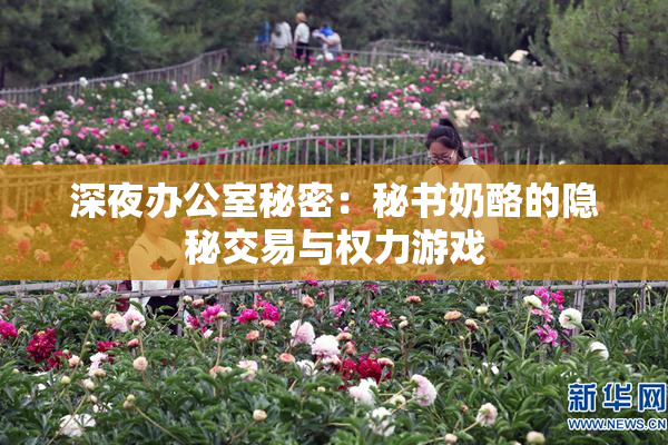深夜办公室秘密：秘书奶酪的隐秘交易与权力游戏
