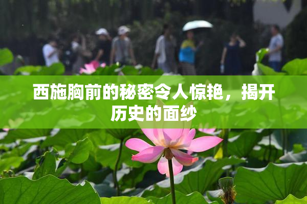 西施胸前的秘密令人惊艳，揭开历史的面纱