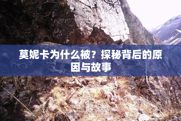 莫妮卡为什么被？探秘背后的原因与故事