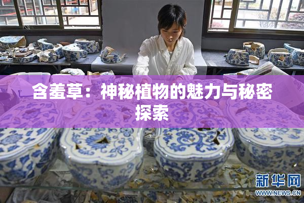 含羞草：神秘植物的魅力与秘密探索