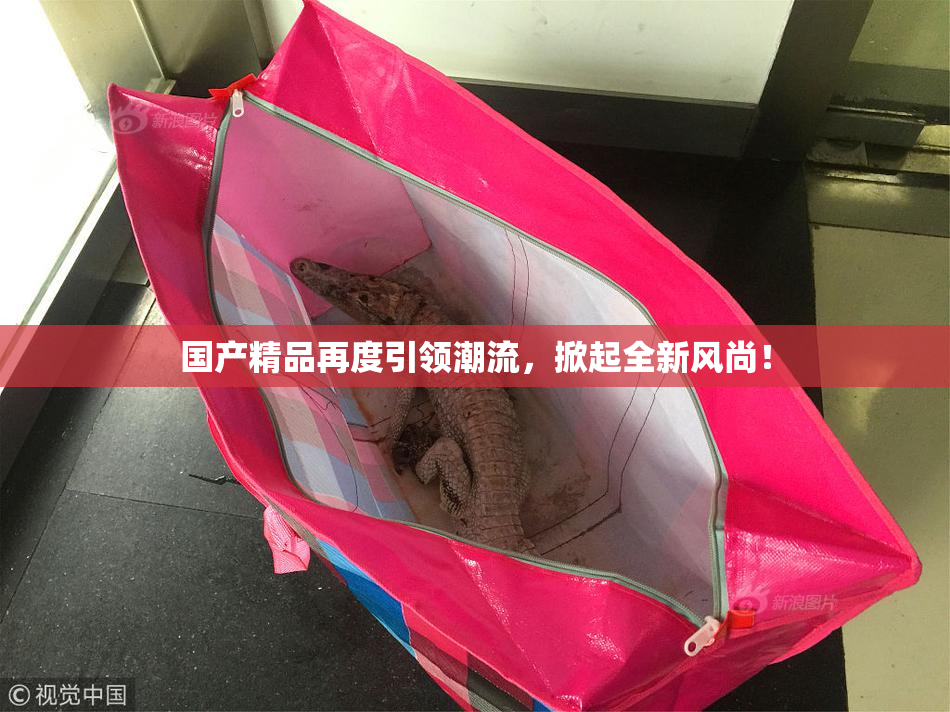 国产精品再度引领潮流，掀起全新风尚！