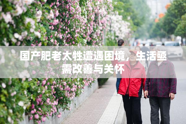 国产肥老太牲遭遇困境，生活亟需改善与关怀