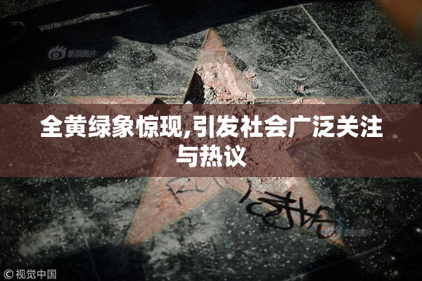全黄绿象惊现,引发社会广泛关注与热议