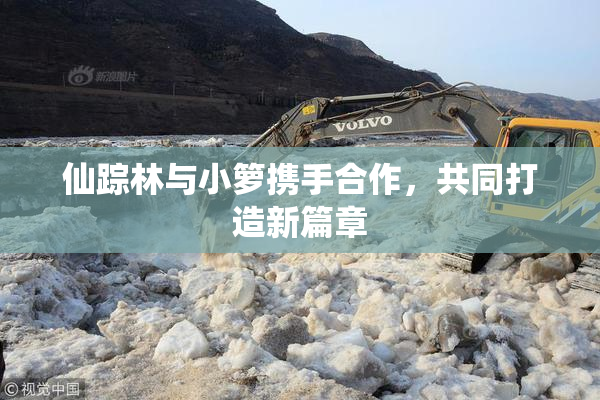 仙踪林与小箩携手合作，共同打造新篇章