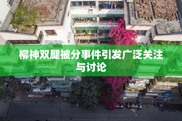 柳神双腿被分事件引发广泛关注与讨论