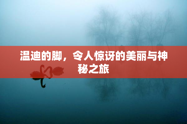 温迪的脚，令人惊讶的美丽与神秘之旅