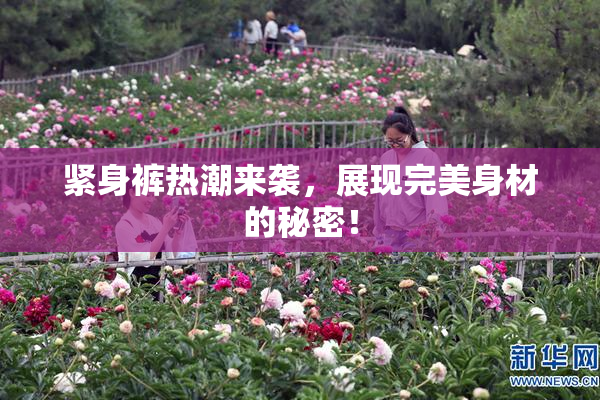 紧身裤热潮来袭，展现完美身材的秘密！