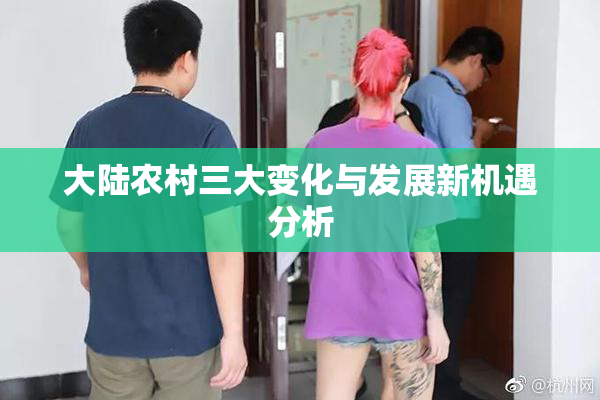 大陆农村三大变化与发展新机遇分析