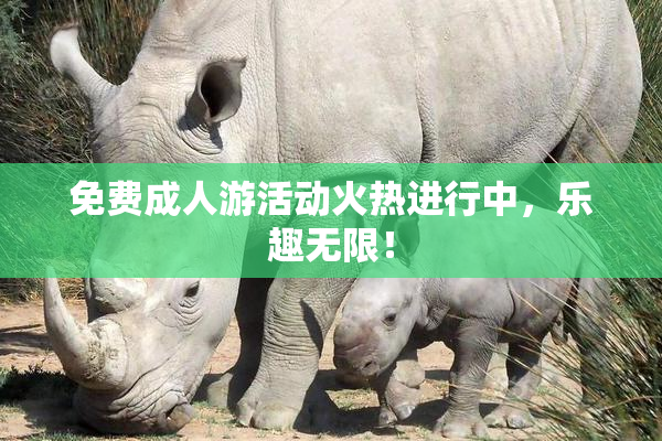 免费成人游活动火热进行中，乐趣无限！