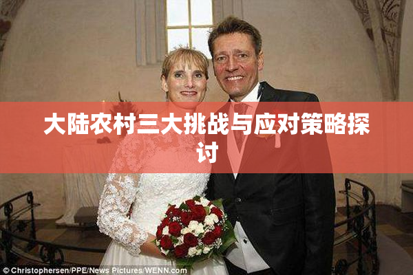 大陆农村三大挑战与应对策略探讨