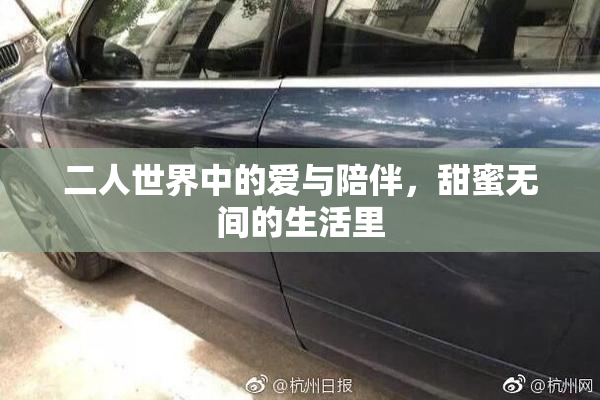 二人世界中的爱与陪伴，甜蜜无间的生活里