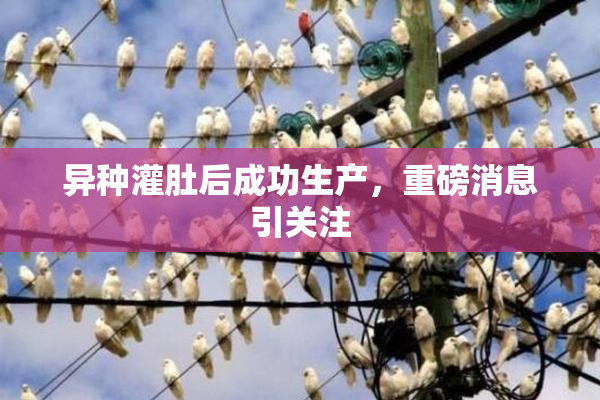 异种灌肚后成功生产，重磅消息引关注