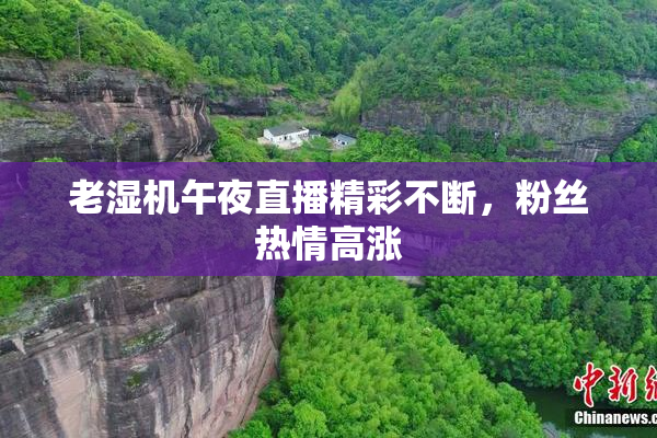 老湿机午夜直播精彩不断，粉丝热情高涨