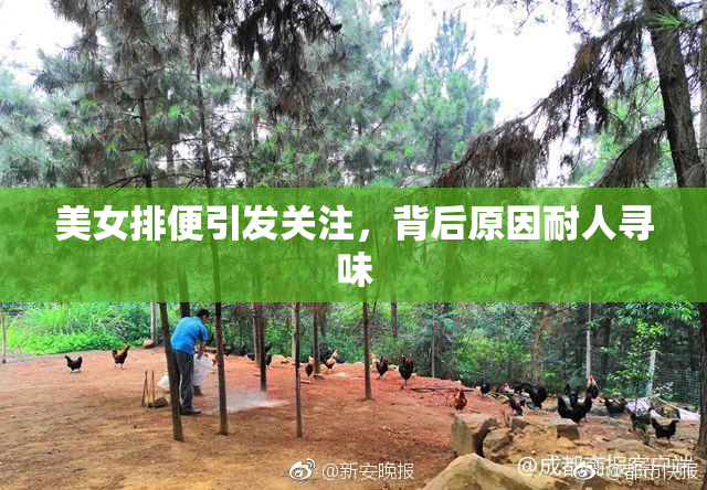 美女排便引发关注，背后原因耐人寻味