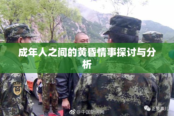 成年人之间的黄昏情事探讨与分析