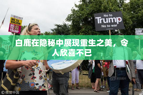 白鹿在隐秘中展现重生之美，令人欣喜不已