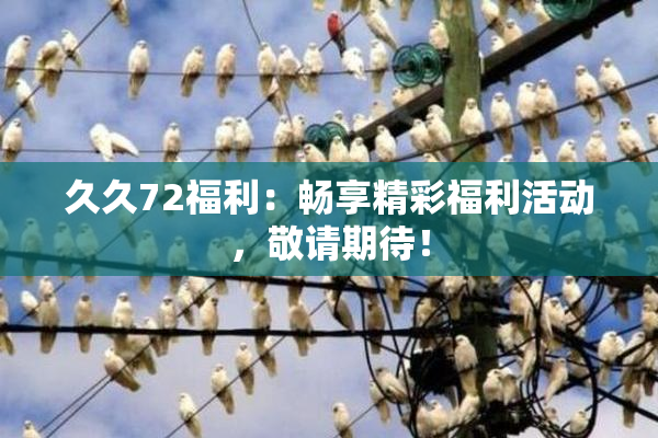 久久72福利：畅享精彩福利活动，敬请期待！