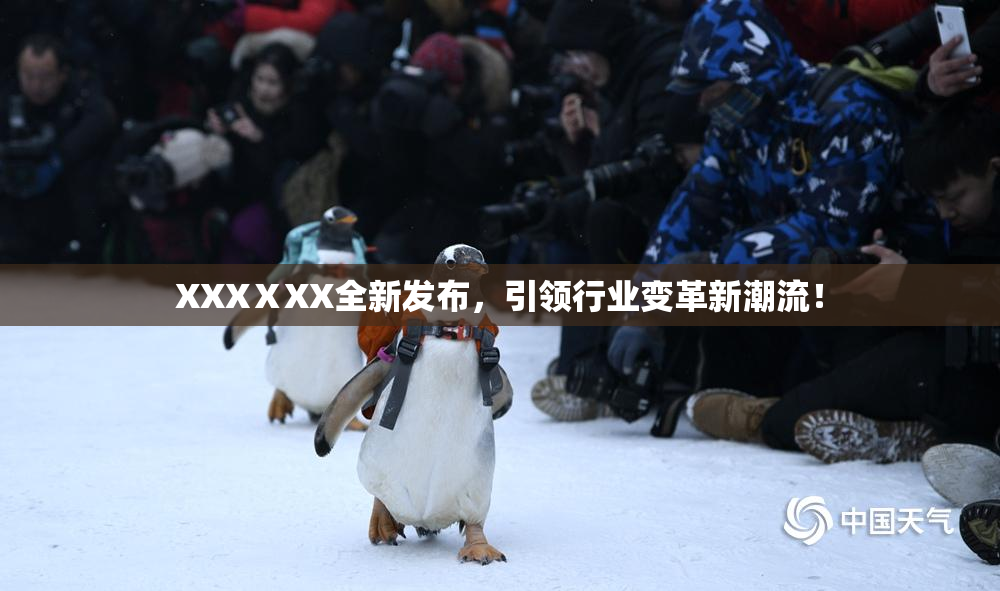 XXXⅩXX全新发布，引领行业变革新潮流！