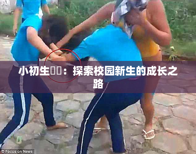 小初生❌‌：探索校园新生的成长之路