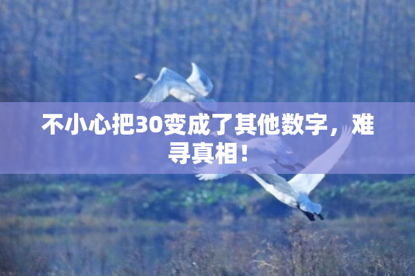 不小心把30变成了其他数字，难寻真相！