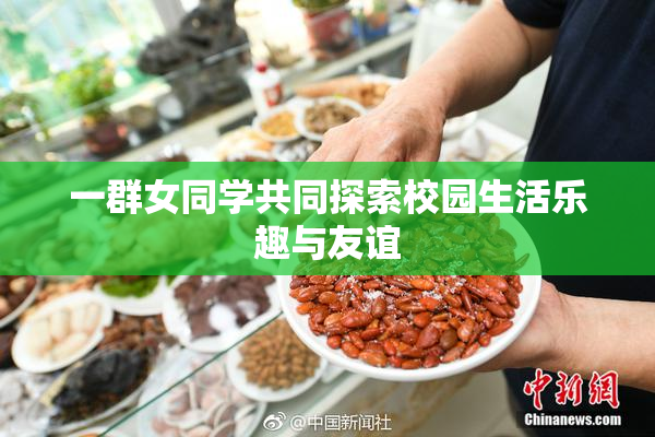 一群女同学共同探索校园生活乐趣与友谊