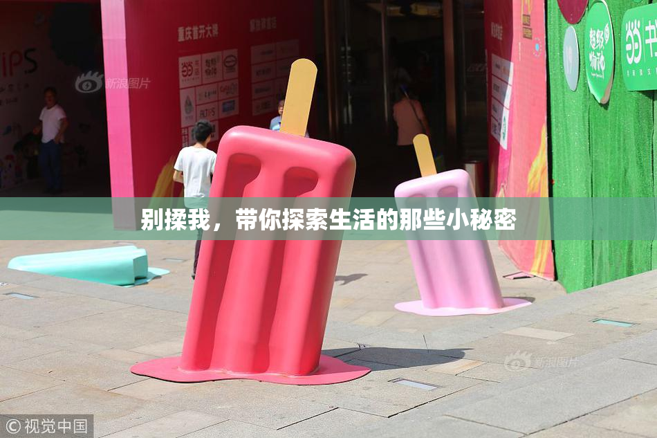别揉我，带你探索生活的那些小秘密