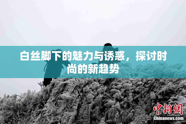 白丝脚下的魅力与诱惑，探讨时尚的新趋势