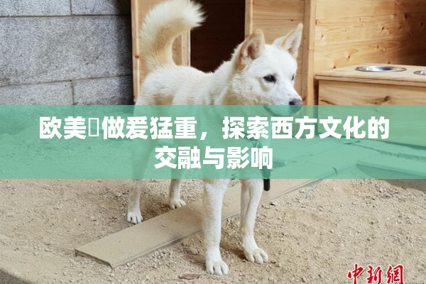欧美巜做爰猛重，探索西方文化的交融与影响
