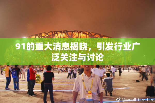91的重大消息揭晓，引发行业广泛关注与讨论