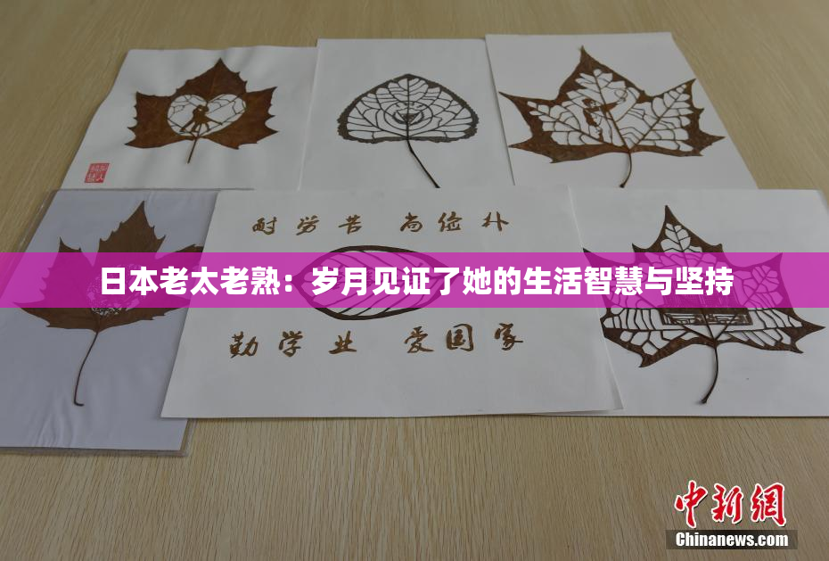 日本老太老熟：岁月见证了她的生活智慧与坚持